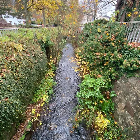 Your Sweet 2 Near Frankfurt /wiesbaden Lejlighed